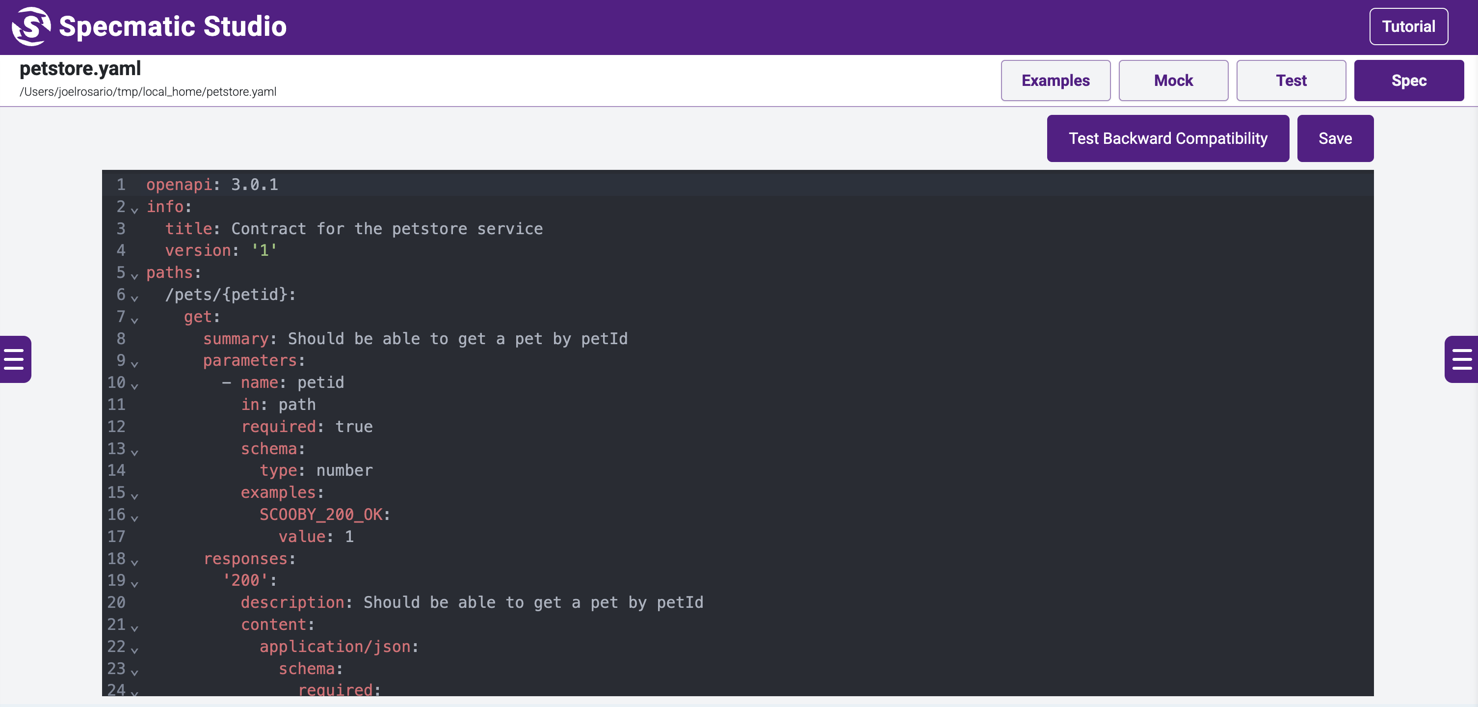 screenshot of the sample petstore.yaml spec